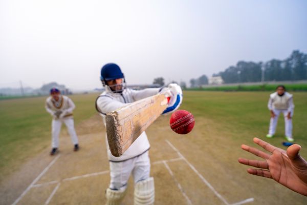 Famous Cricket Stars